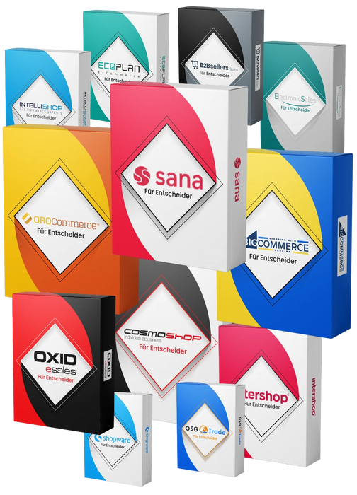 B2B Webshop Systeme (E-Learning Kurs Bundle)